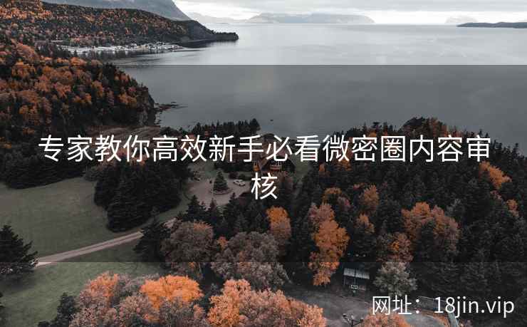 专家教你高效新手必看微密圈内容审核
