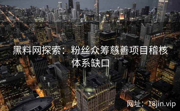 黑料网探索：粉丝众筹慈善项目稽核体系缺口