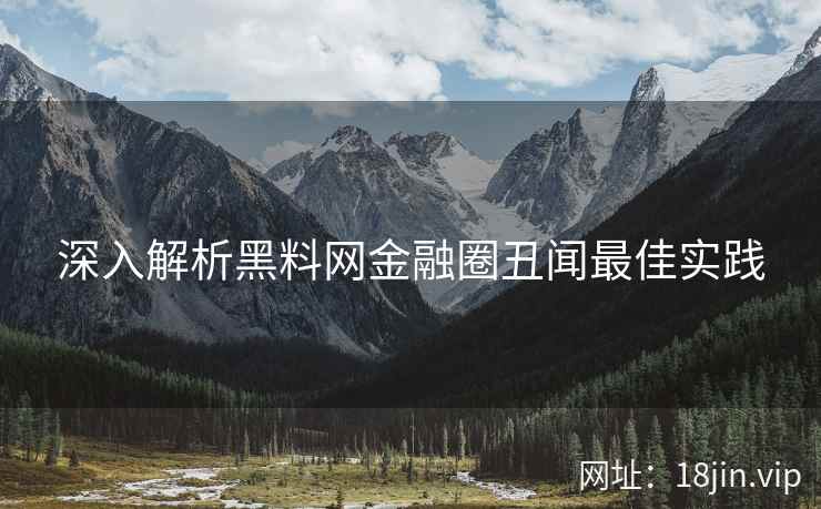 深入解析黑料网金融圈丑闻最佳实践